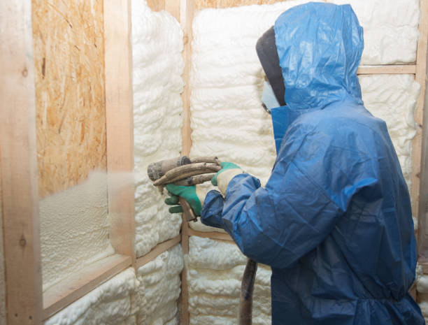 Professional Insulation in Nanawale Estates, HI